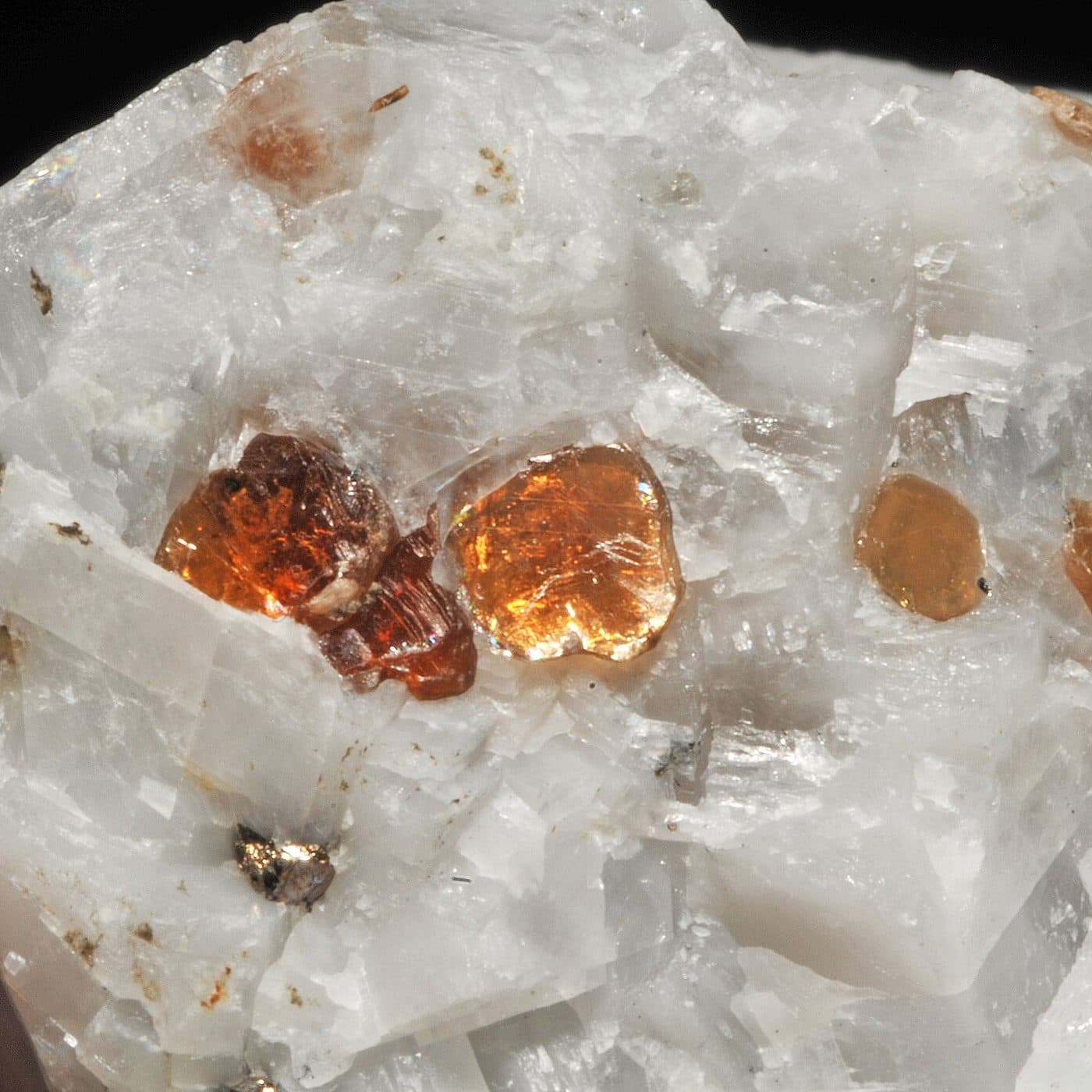 Phlogopite mica crystals in matrix